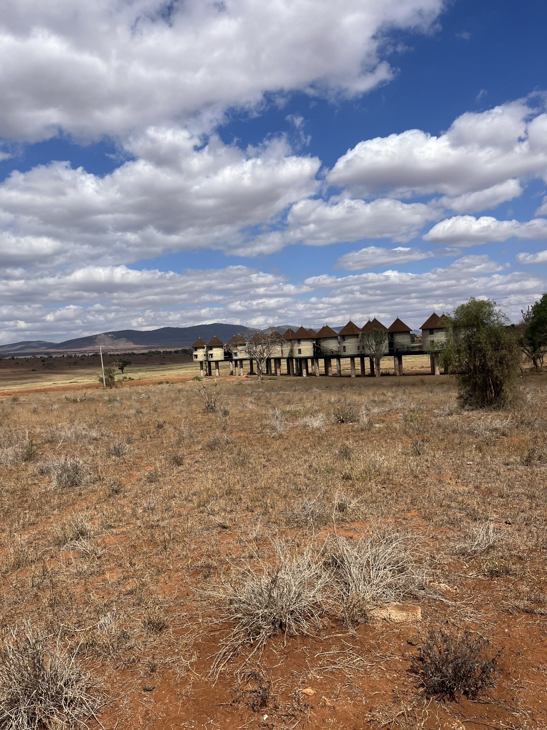 Unieke overnachting bij Salt Lick Safari Lodge in Tsavo West
